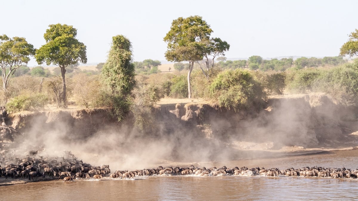 Tanzania en tres parques: qué esperar de Tarangire, Serengeti y el cráter del Ngorongoro