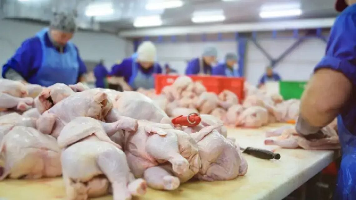Por primera vez, el pollo se sentó en la mesa principal y dejó a la carne vacuna en segundo lugar