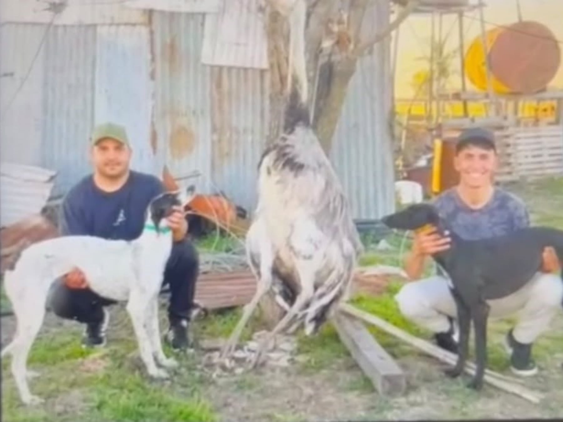 Dos imputados por la muerte de un ñandú en un campo de Pergamino y una disputa legal que deberá zanjar la Cámara
