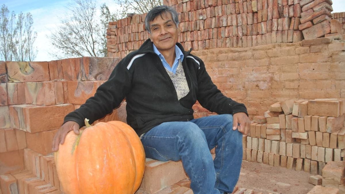 Vuelve el concurso del zapallo gigante a Mariano Moreno y reparte semillas gratis para quien quiera animarse a la huerta