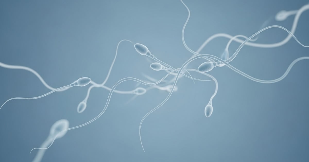 Un joven de 19 años se convierte en el primer británico en recibir un autotrasplante de tejido testicular para volver a ser padre tras la quimioterapia
