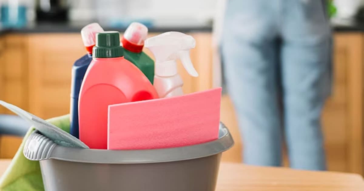 ARCA lanza un recibo de sueldo automático para el servicio doméstico y el empleador sigue siendo el responsable final