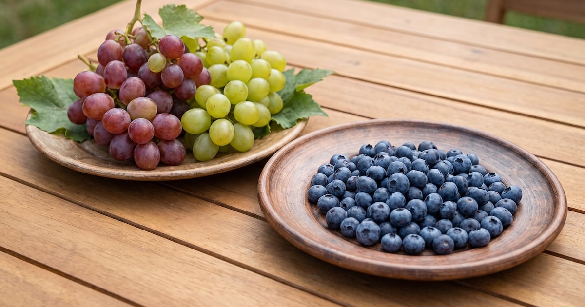 Arándanos o uvas: la fibra marca la diferencia a la hora de medir el azúcar en sangre
