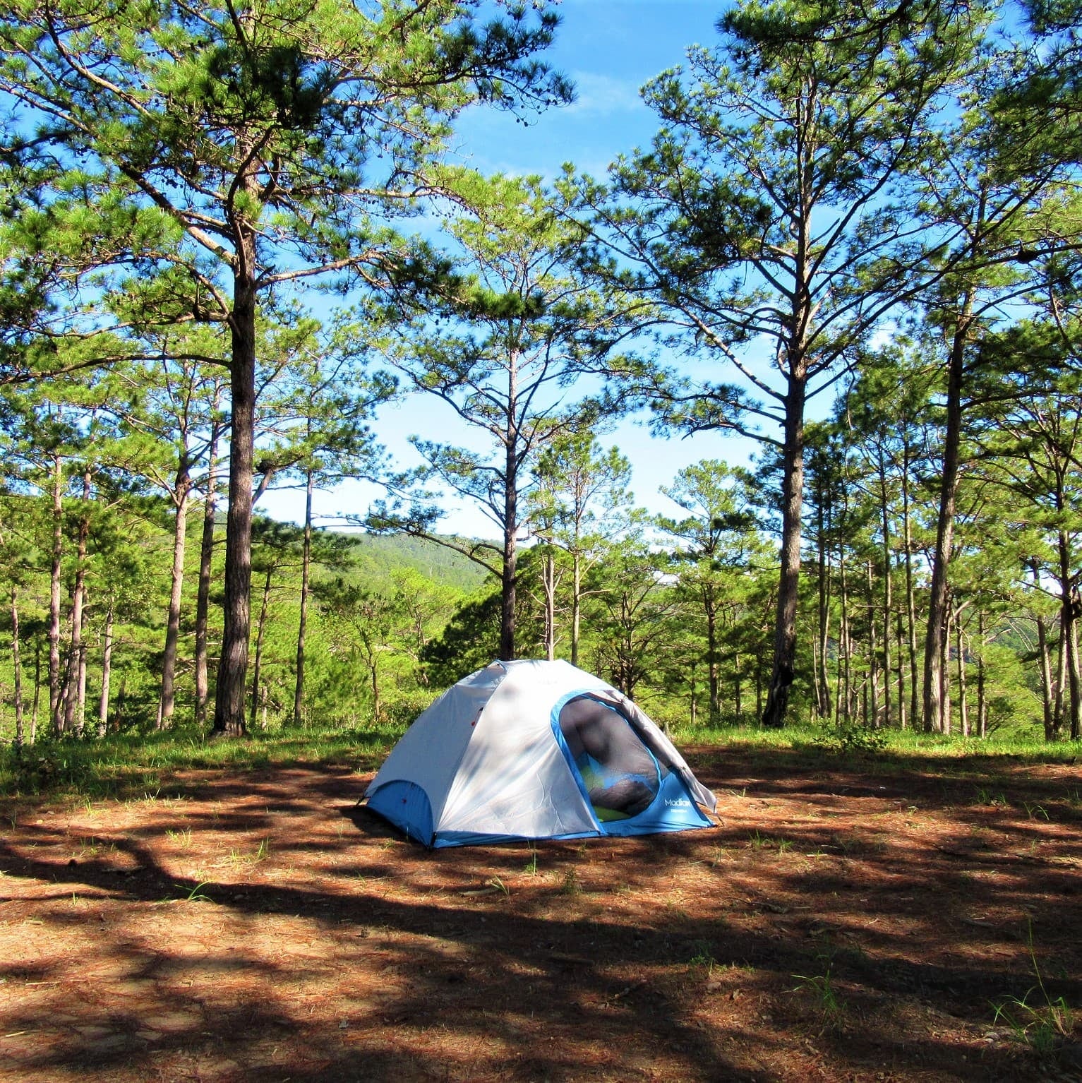 Huttopia instala en Mar Azul su primer camping en América Latina con 55 hectáreas de bosque y 240 parcelas